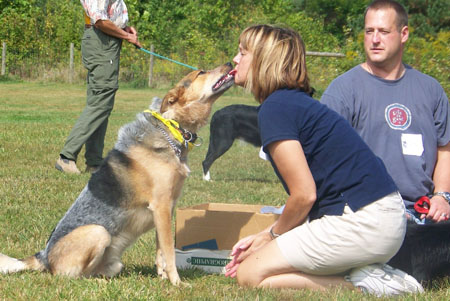 GLBCR Picnics - not just for Border Collies!